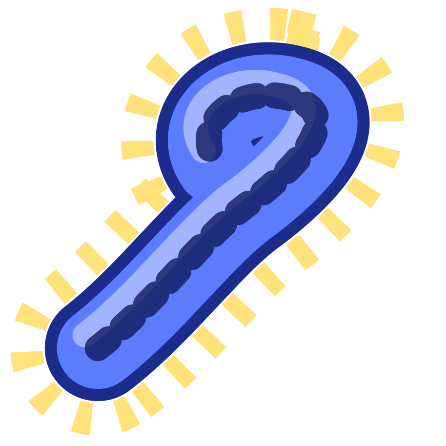 Filovirus