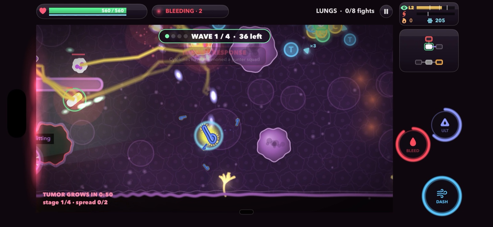 Filovirus in a fight